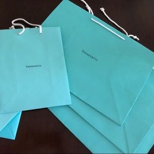 Tiffany’s Bag 18 1/2” x 16 1/2”